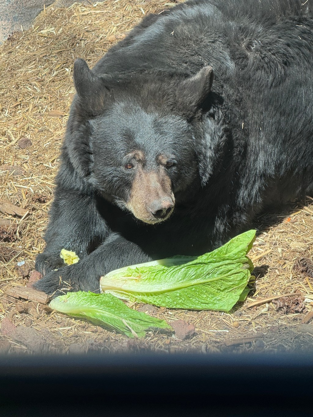 Side-Trip Stories from Our Grand Canyon&nbsp;Getaway